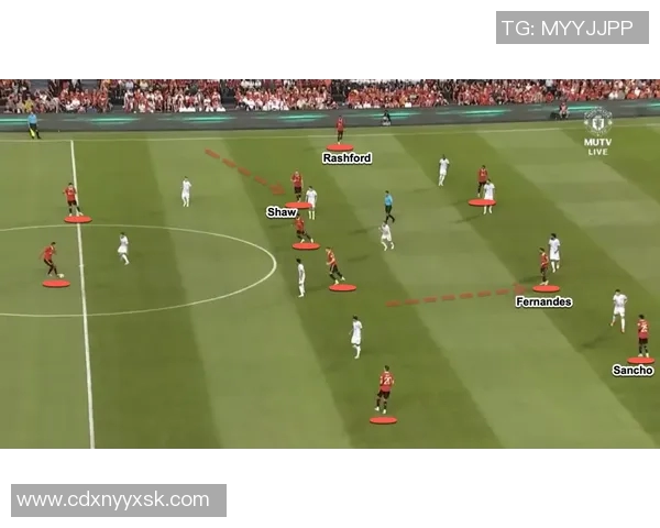 洲际杯赛场上广州排球队展现灵活战术与团队协作的精彩表现